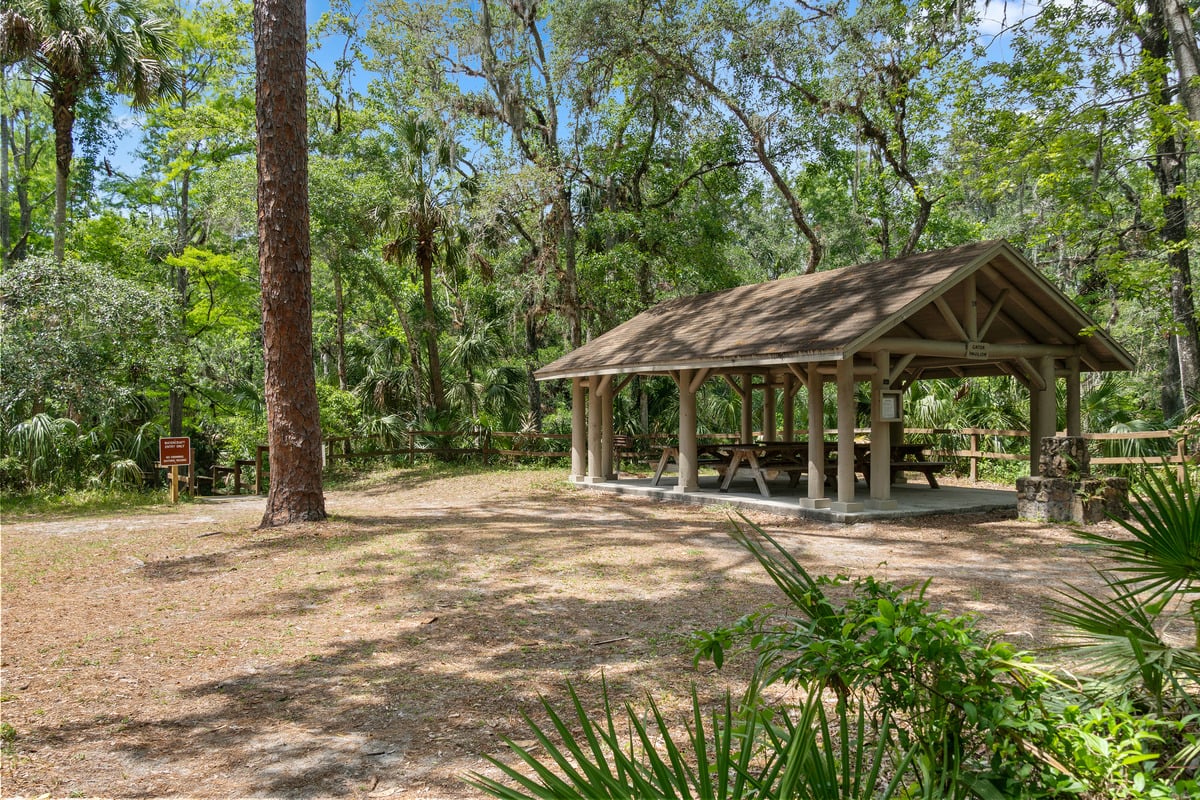 A 5-minute drive to Hillsborough River State Park