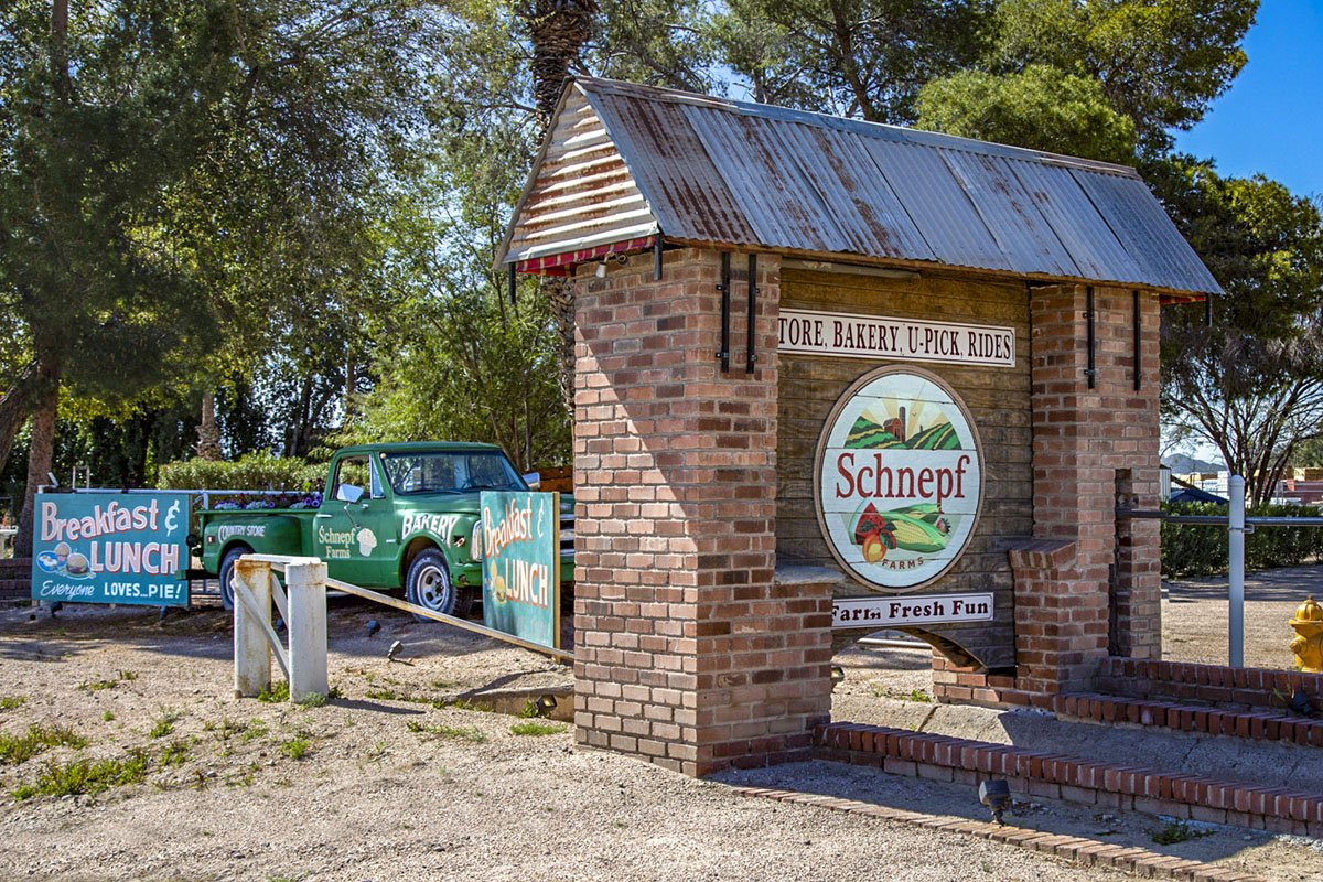 Near Schnepf Farms, an iconic family destination