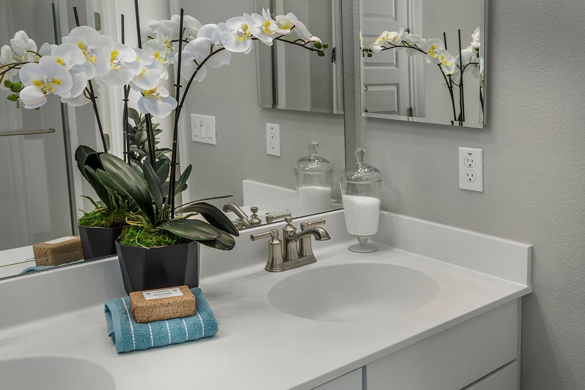 Dual-sink vanity at primary bath