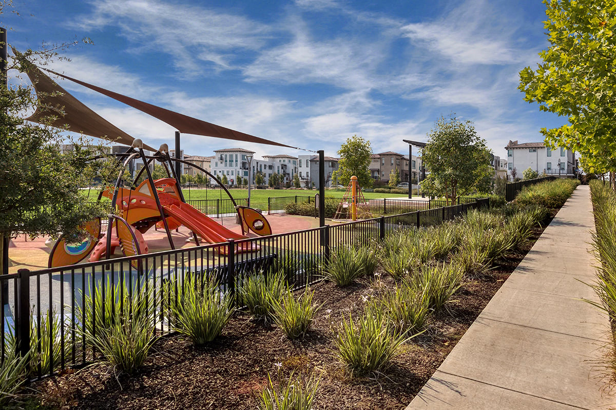 Community park and playground