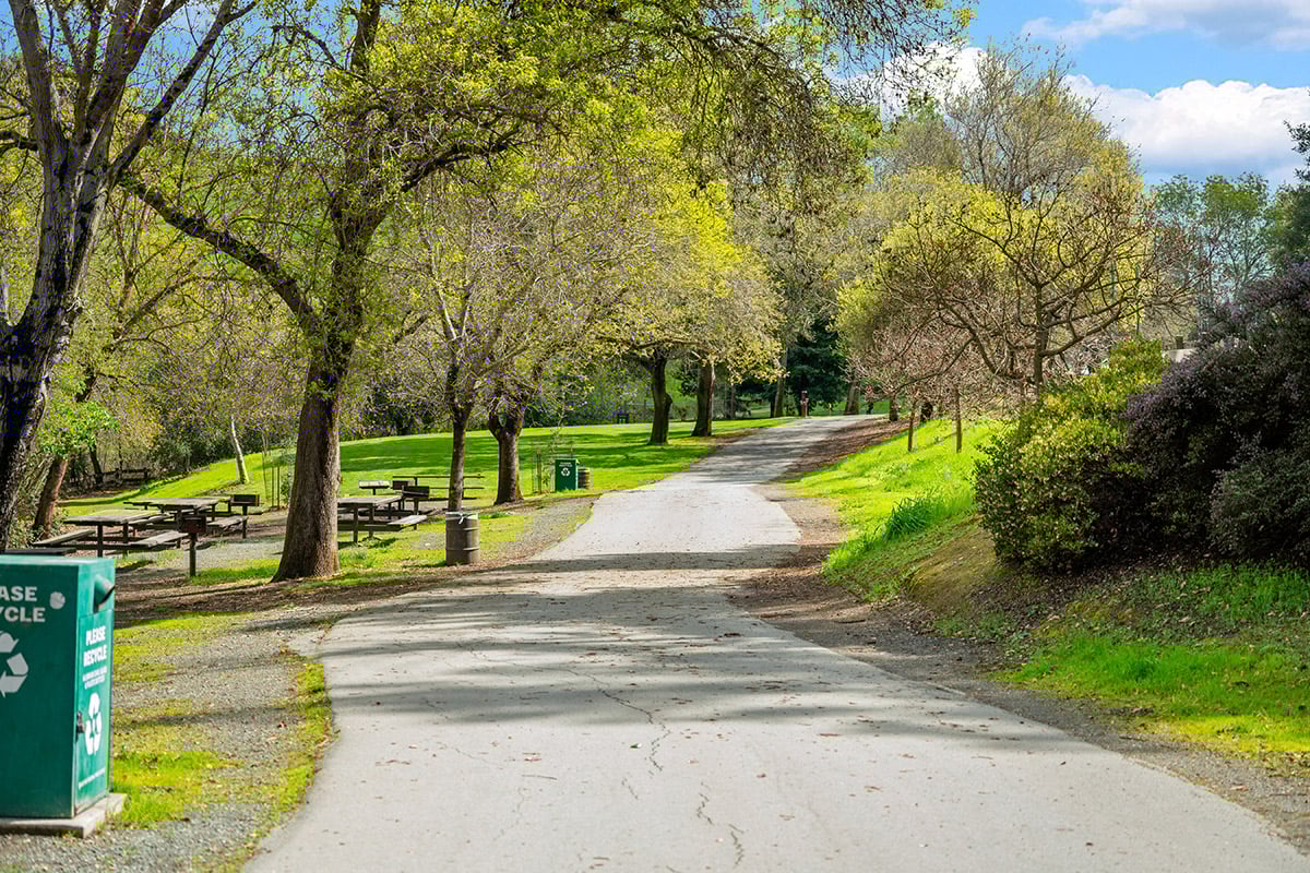 Near trails at Lake Chabot Regional Park