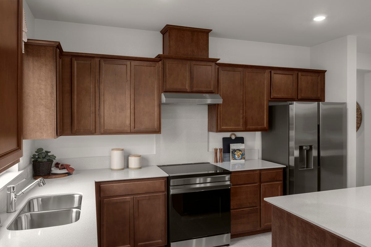 Electric induction range 