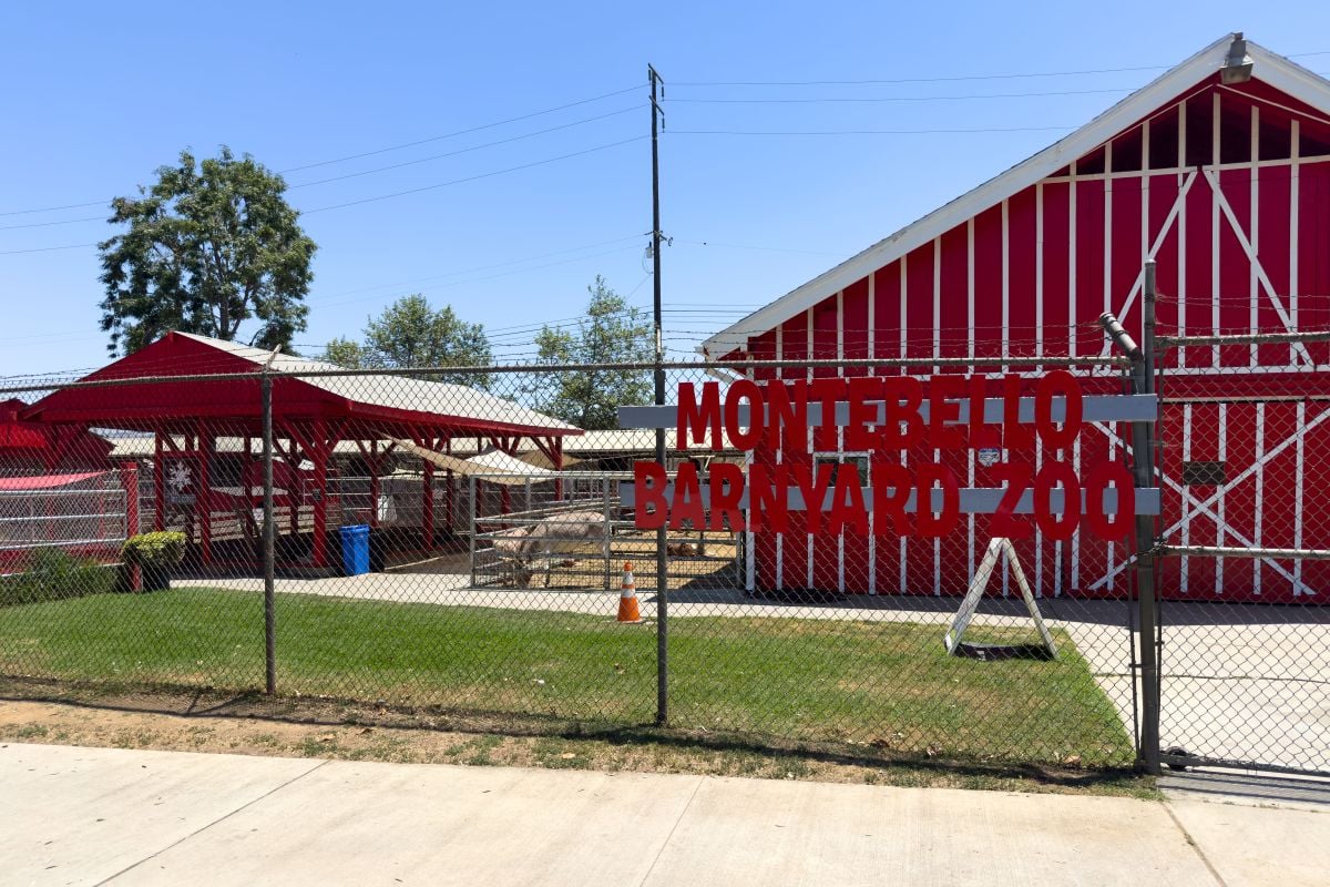 Near Montebello Barnyard Zoo