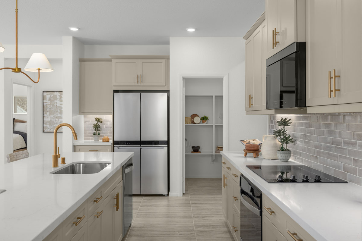 Optional stainless steel built-in oven and cooktop