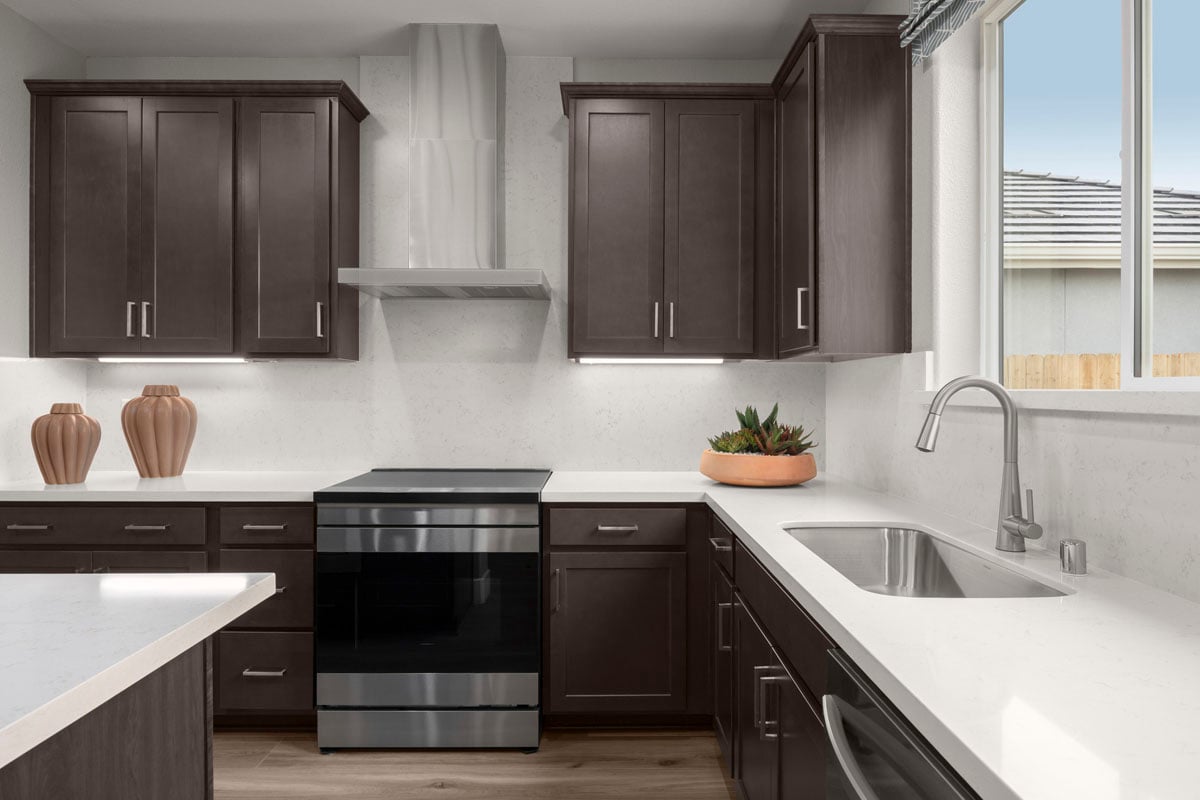 Wall-mounted hood and slide-in range