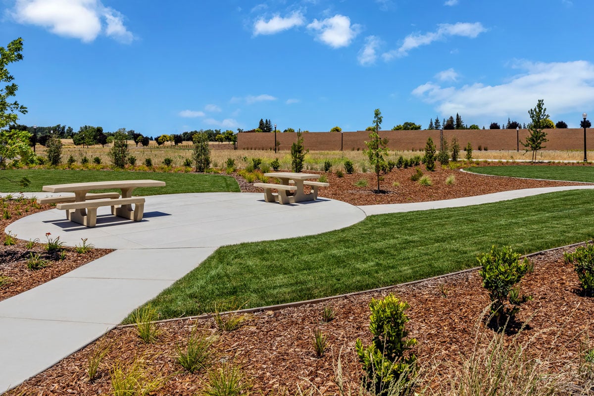 Community picnic area