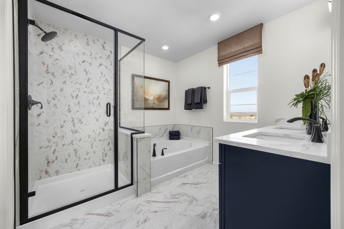 Tub and separate shower at primary bath