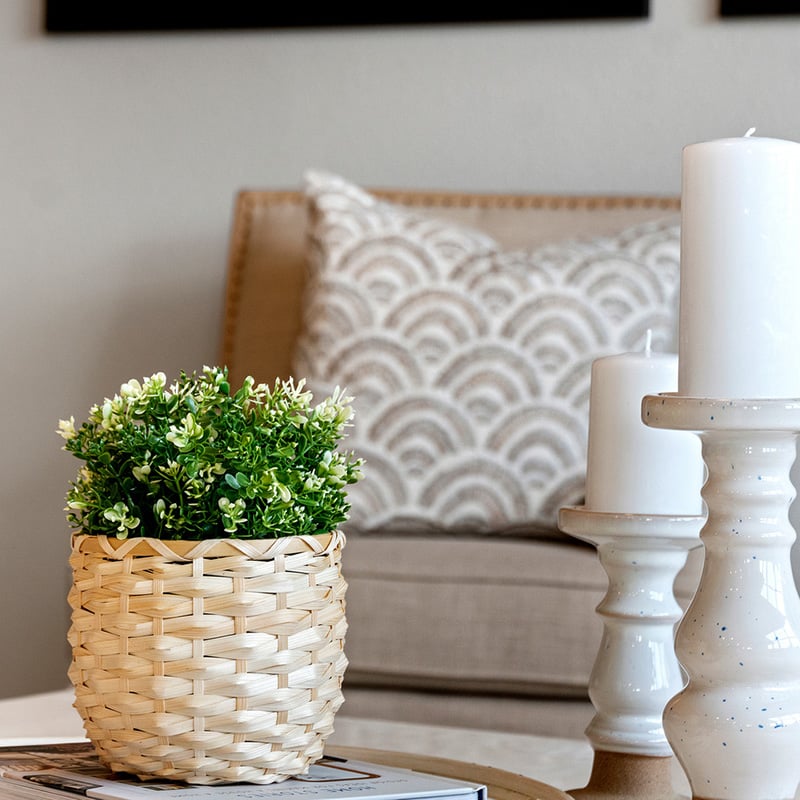 New Homes in Jacksonville, FL - Panther Creek 