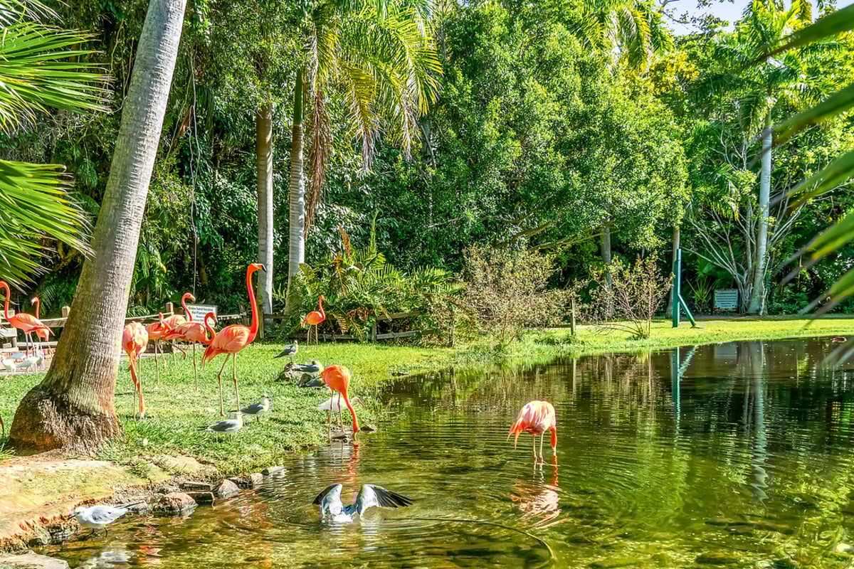 Close to Sarasota Jungle Gardens®