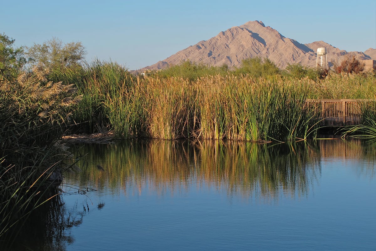 Short drive to Clark County Wetlands Park