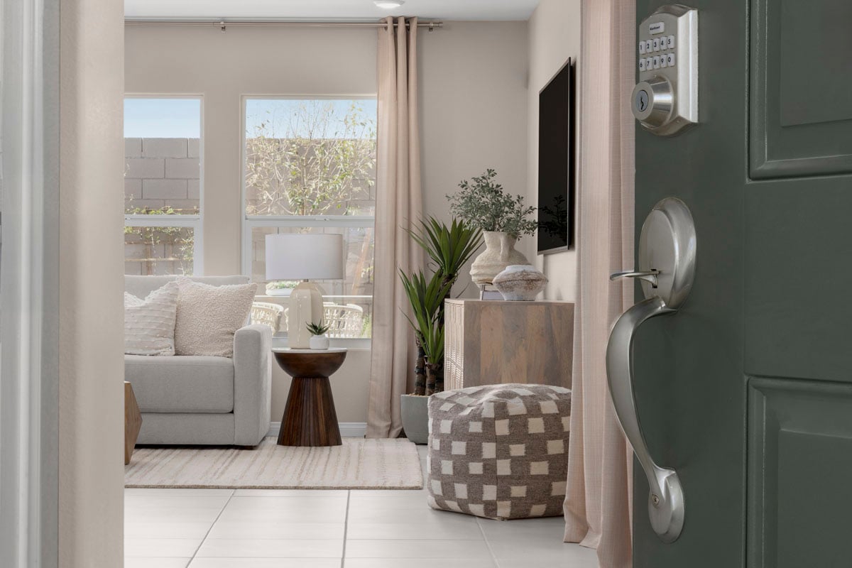 Satin nickel entry door hardware