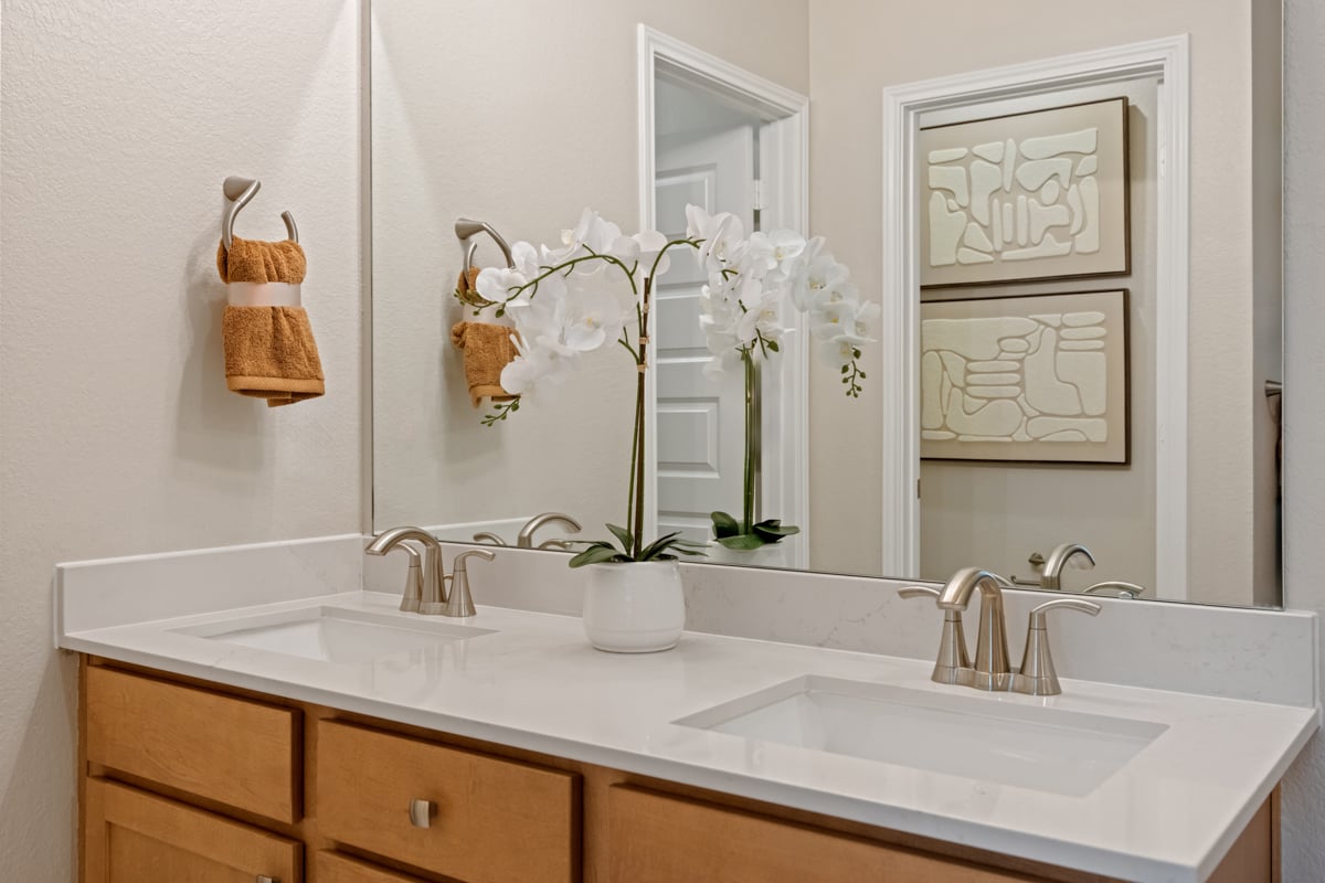 Dual-sink vanity at primary bath