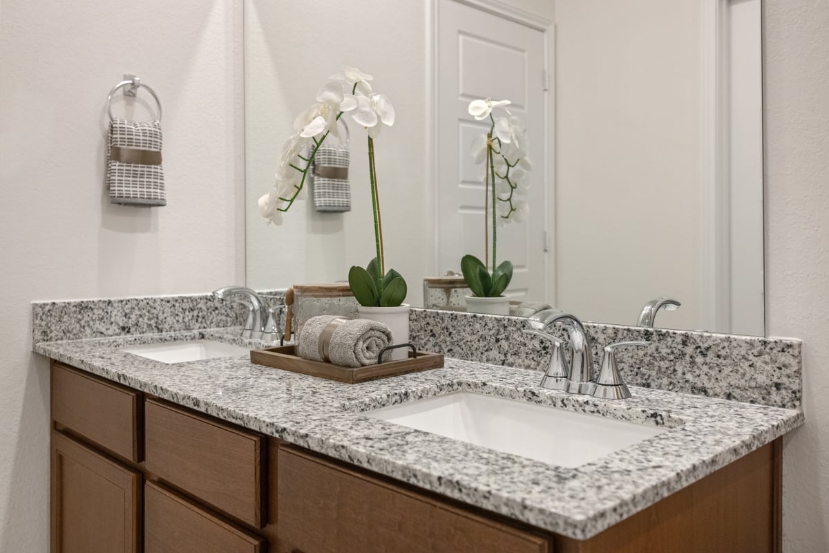 Dual-sink vanity at primary bath