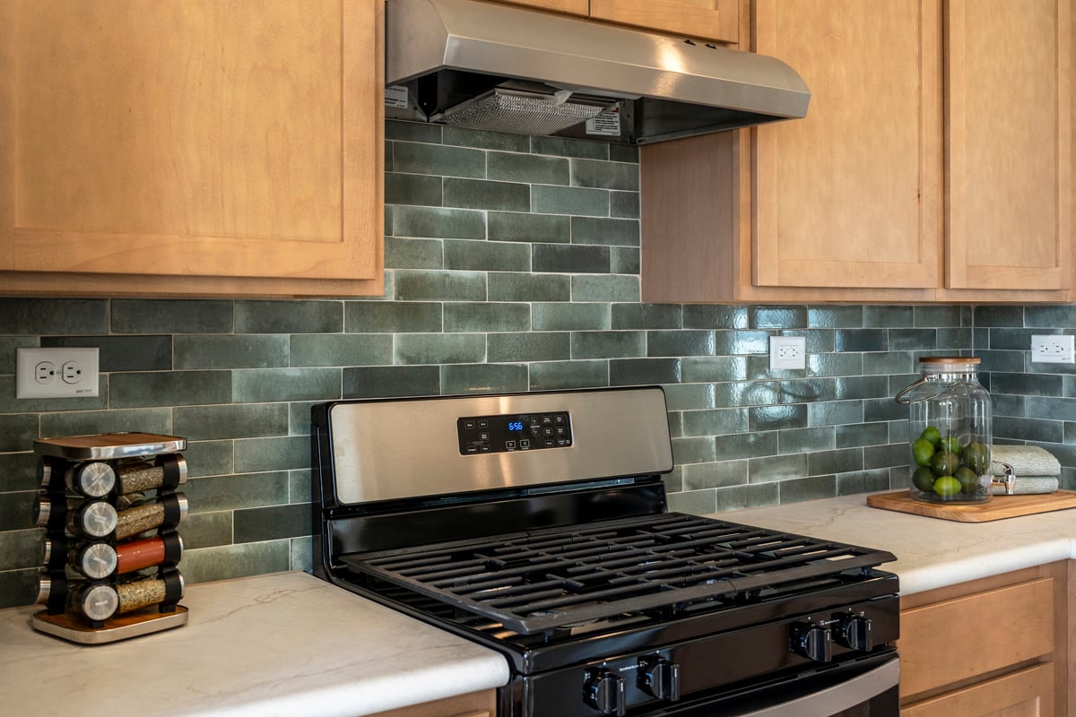 Stainless steel gas range