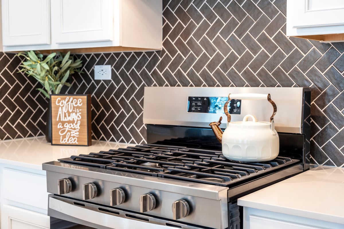 Stainless steel gas range