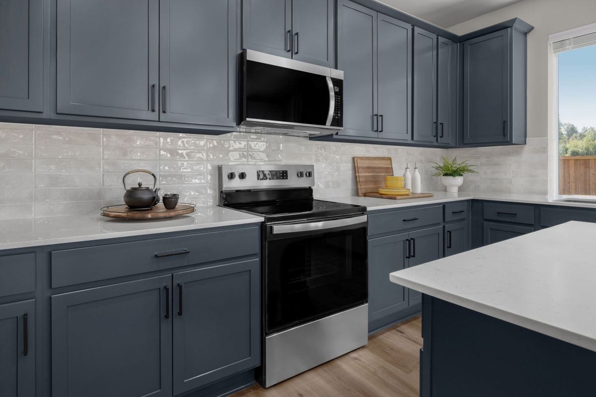 Stainless steel kitchen appliances