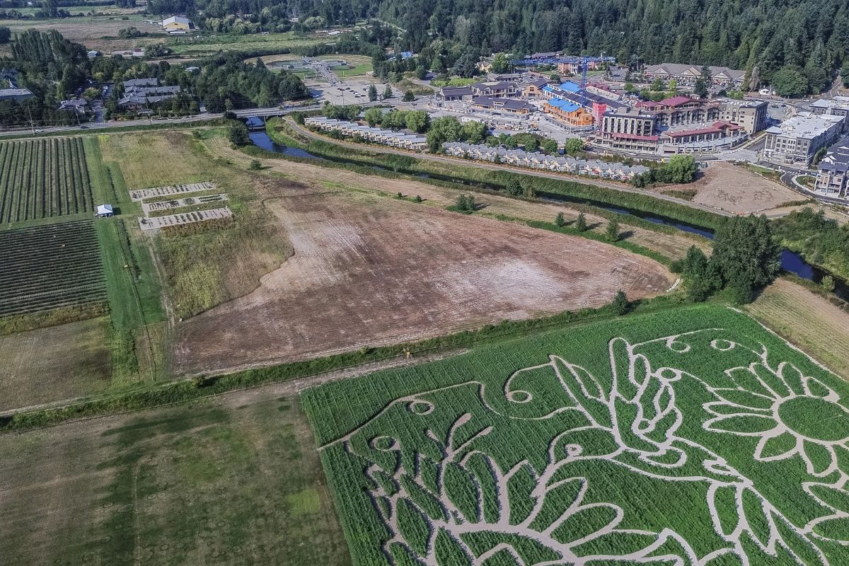 Near Burke-Gilman Trail